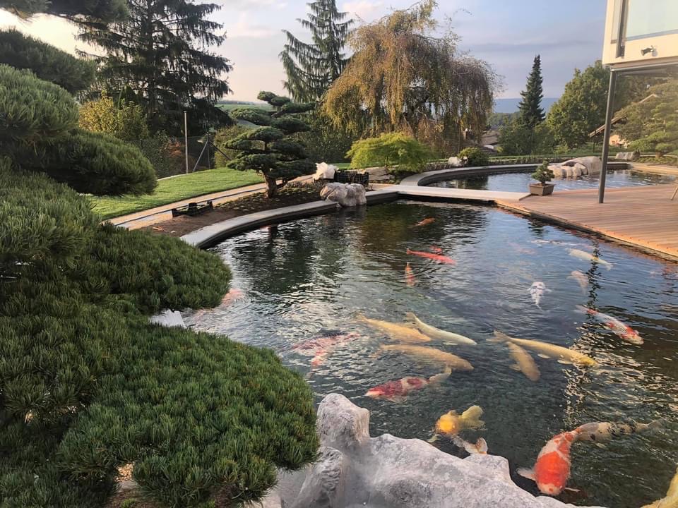Teichbau koilounge.ch