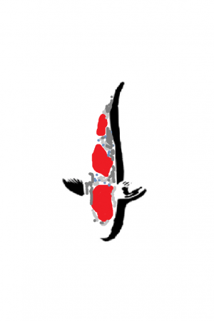 Goshiki