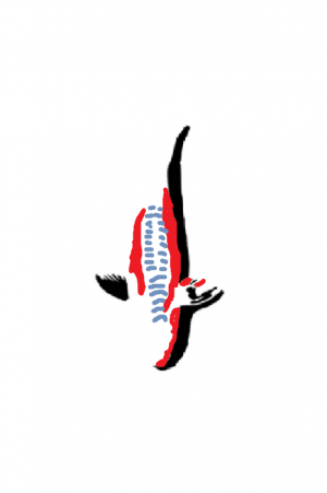 Shusui