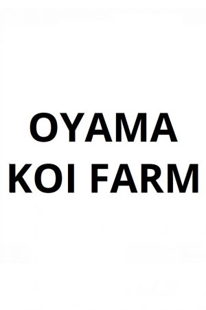 Oyama Koi Farm