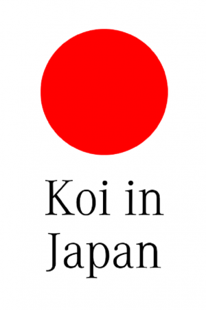 Koi in Japan